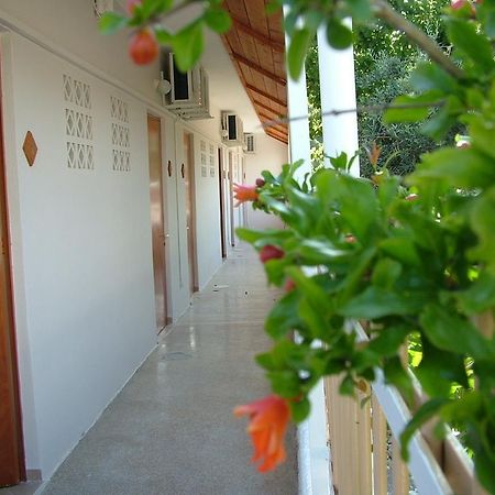 George'S Apartment Agia Marina (Aegina) Quarto foto