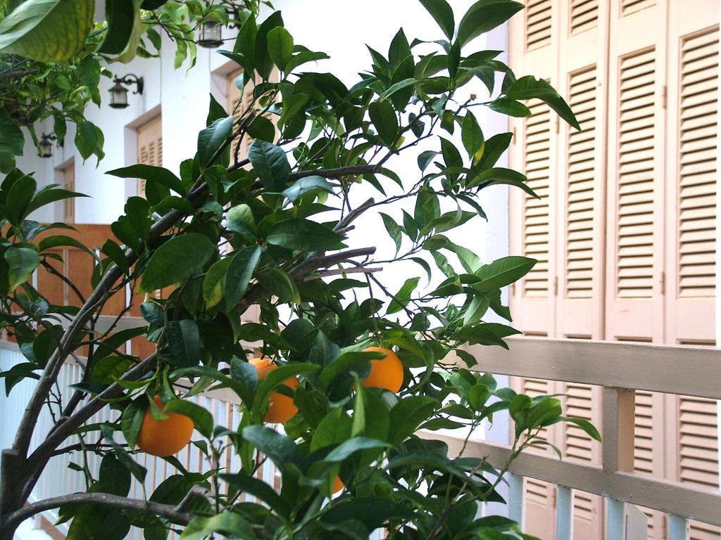 George'S Apartment Agia Marina (Aegina) Quarto foto