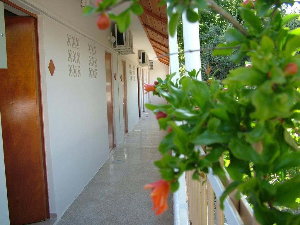 George'S Apartment Agia Marina (Aegina) Quarto foto